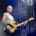 Dalla cattedra ai palchi di tutto il mondo: quando Sting era un insegnante